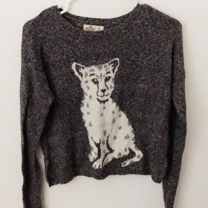 Animal Print Sweater from Hollister